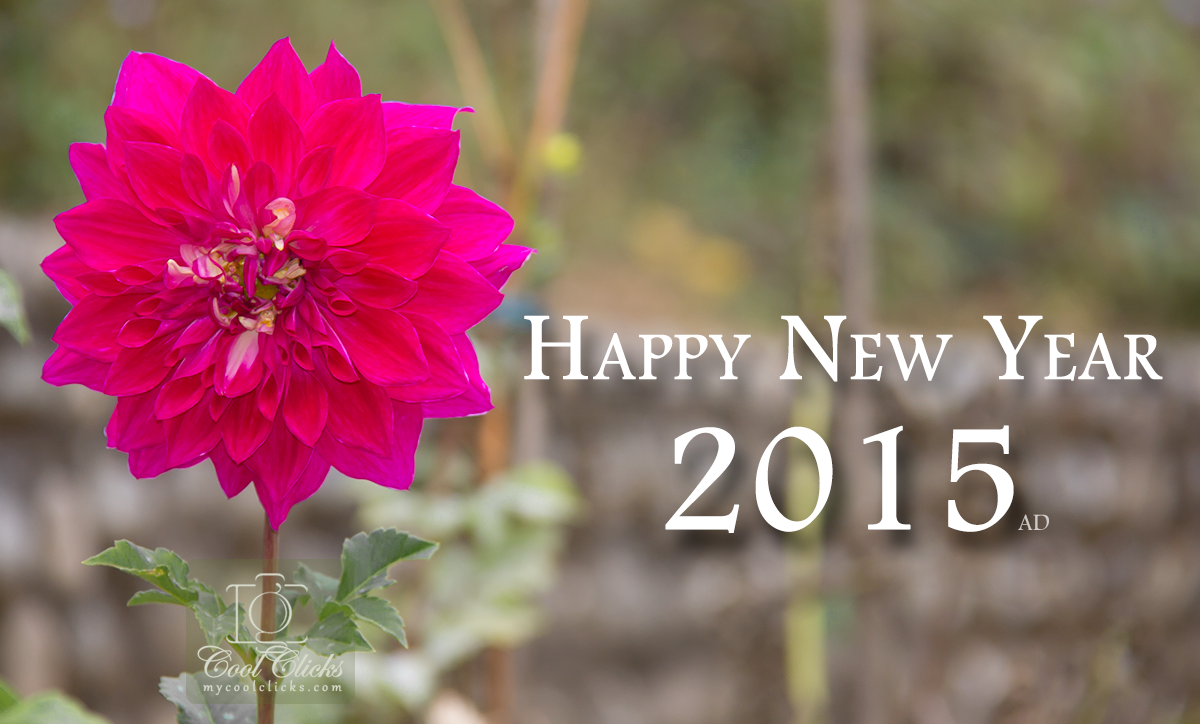 #HappyNewYear2015
