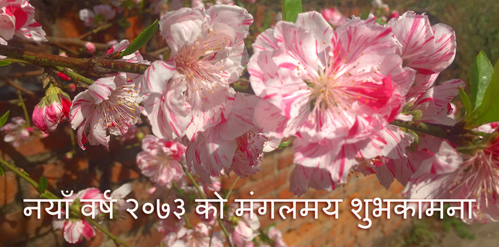 Happy New Year 2073 #BS